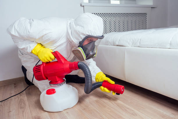 Best Pest Prevention Services  in Shenandoah, IA